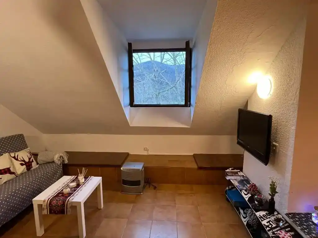 Wohnzimmer von Wohnungen zur Miete in Puebla de Lillo