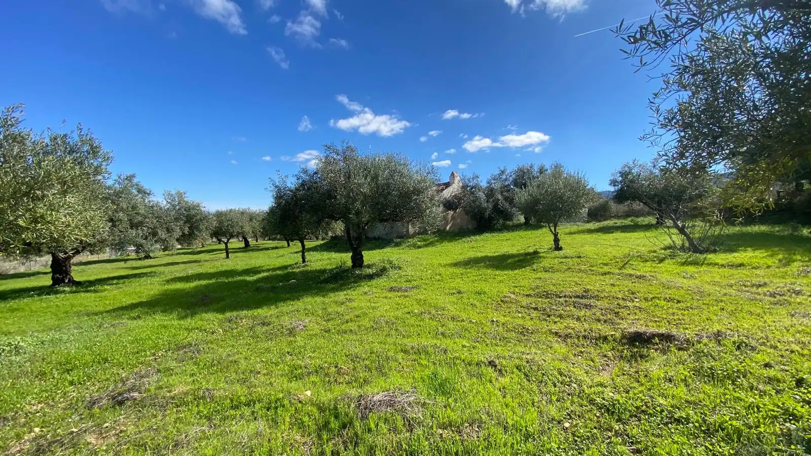 Terreni e lotti in vendita a Alquería - Torrealquería, imagen 11