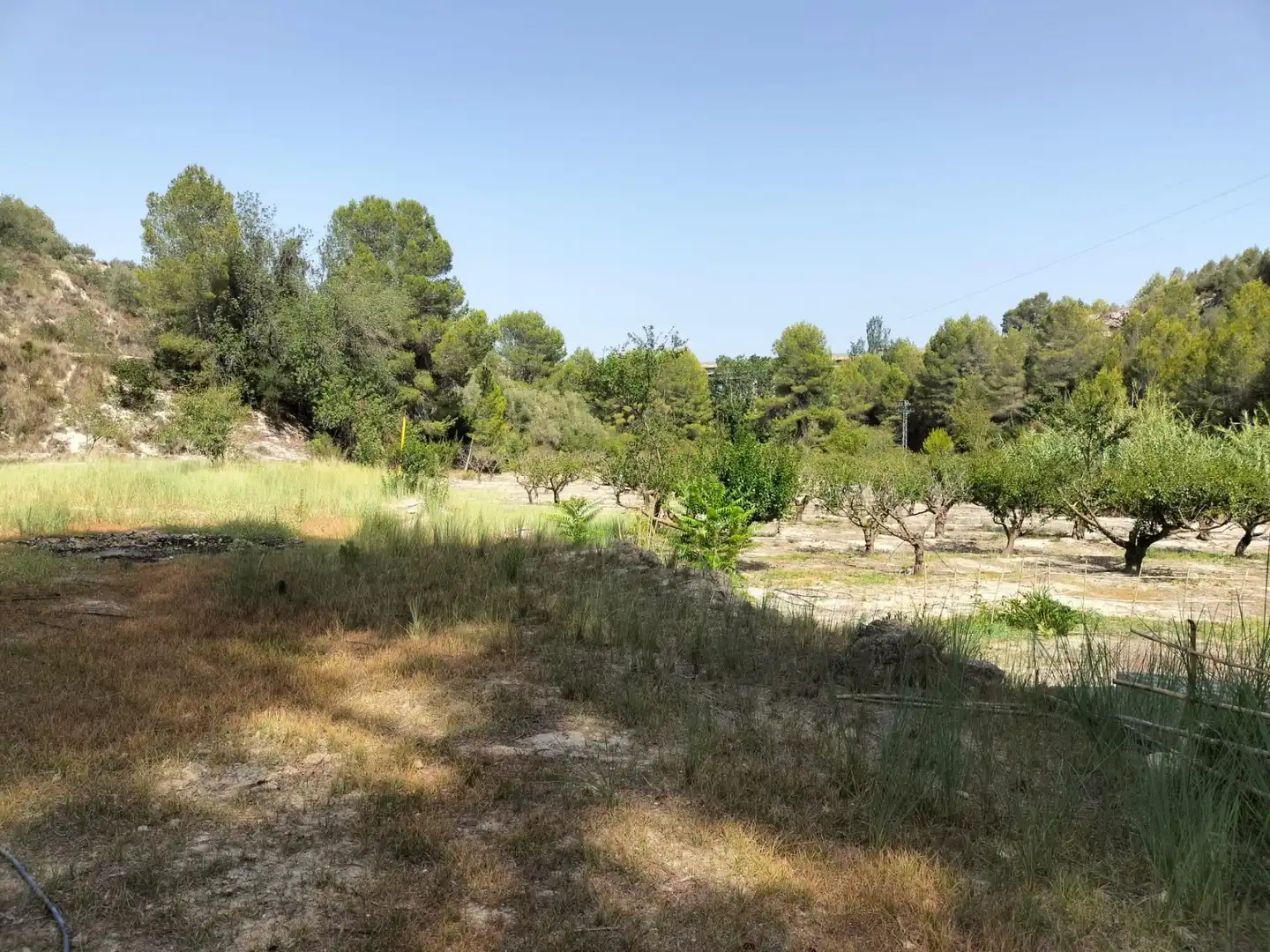 Local en venta en L'Alcúdia de Crespins