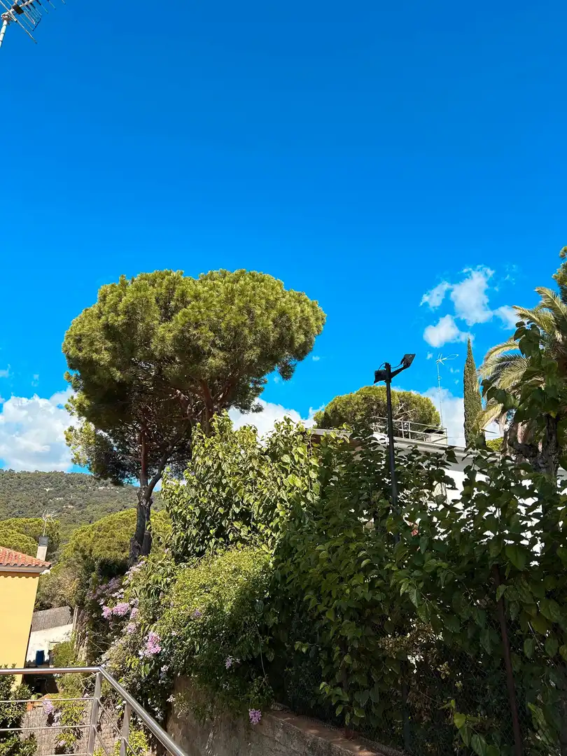 Casa o xalet en venda a Cabrils