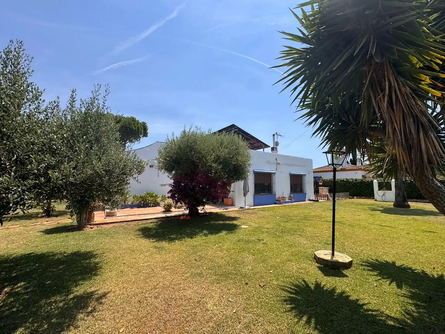 Jardín de Edificio en venta en Conil de la Frontera