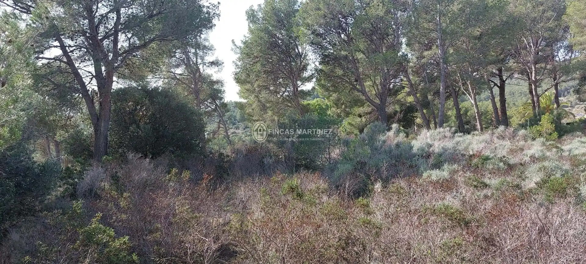 Terrenys i solars en venda a urbanizacion mar de riudecanyes, imagen 15