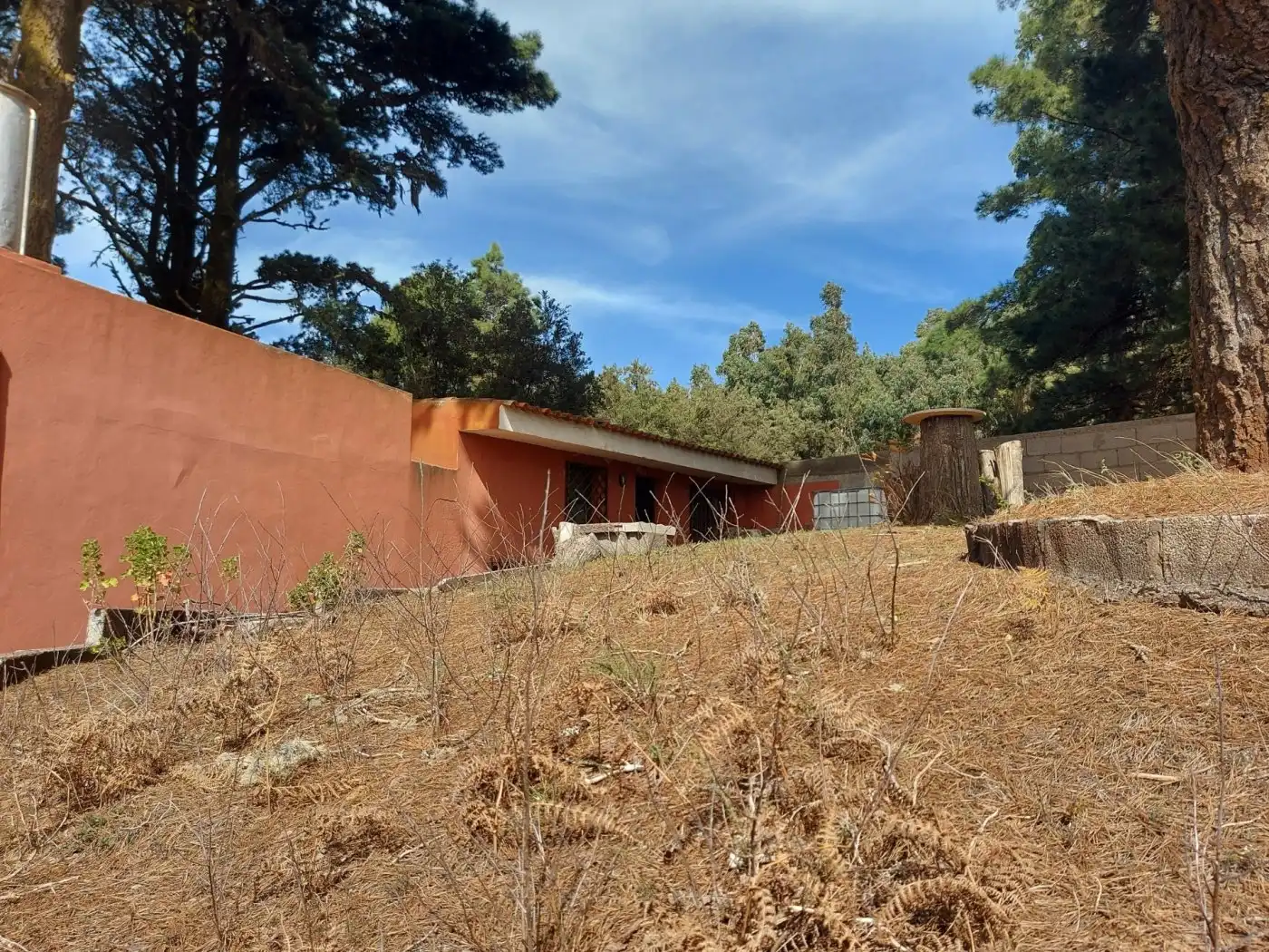 Vista exterior de Finca rústica en venta en El Sauzal con Calefacción, Jardín privado y Terraza