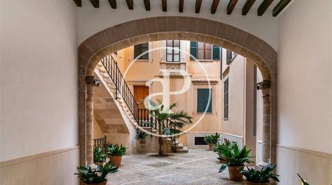 Photo 5 from new construction home in Flat for sale in Sant Jaume, Illes Balears