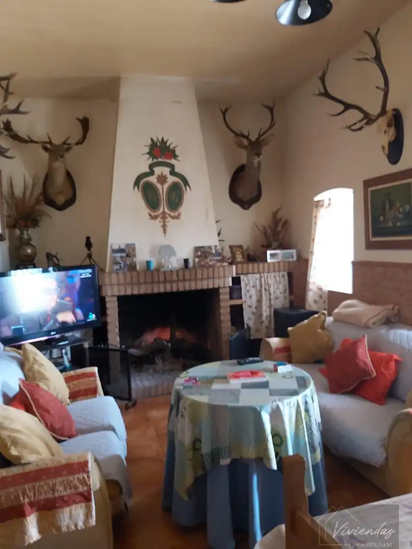 Sala de estar de Finca rústica en venta en Villanueva de la Serena con Trastero, Amueblado y Alarma