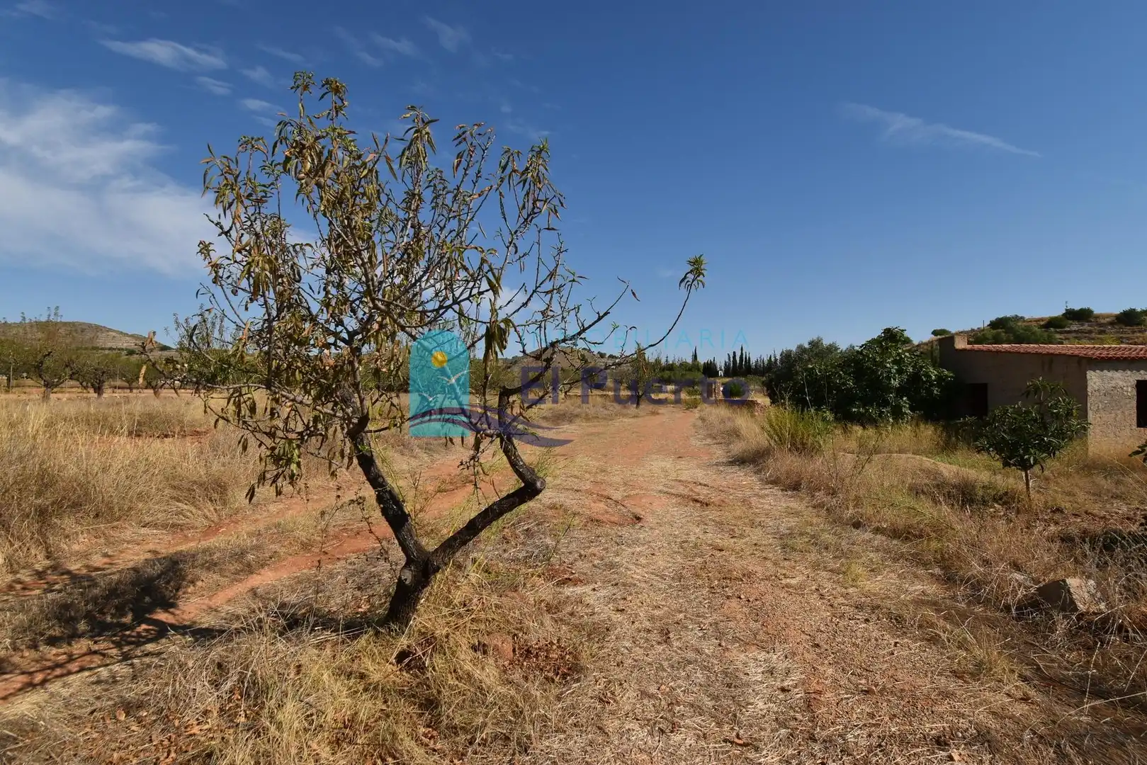 Rustikales Grundstück zum Verkauf in Pedanías Oeste, imagen 10