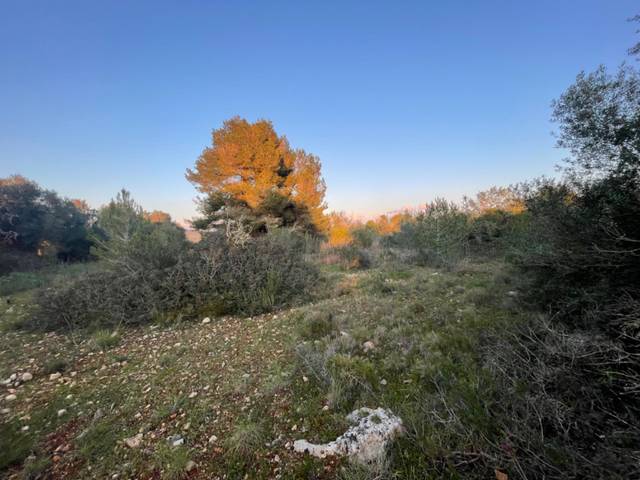 Terreno en Venta en Manacor Centre