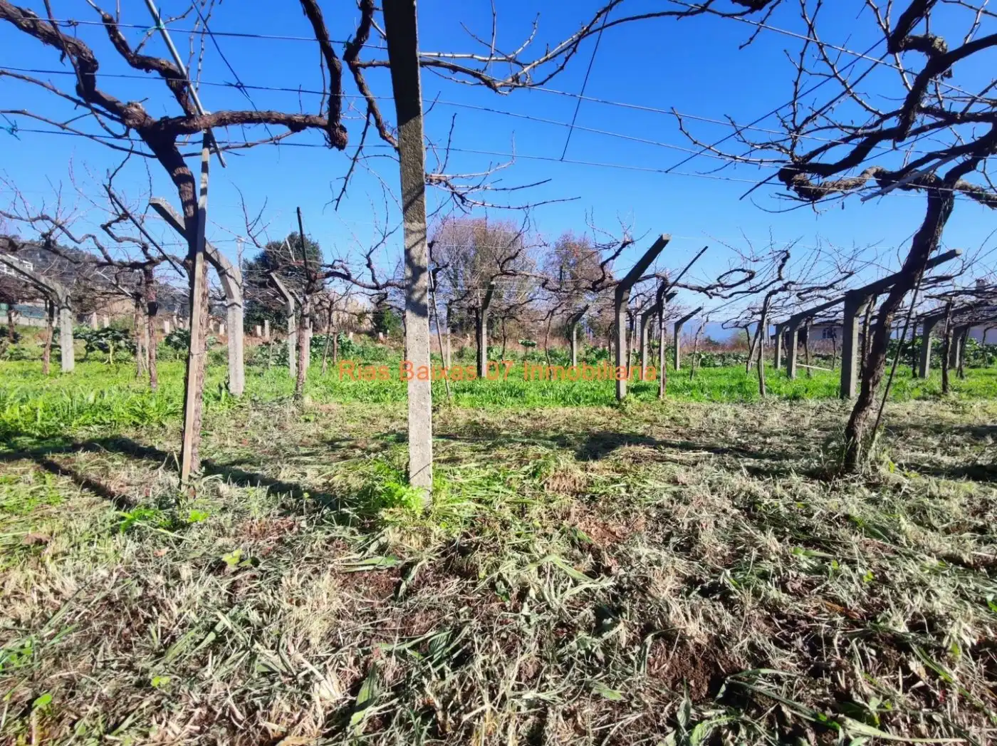 Terrenys i solars en venda a Mos, imagen 2