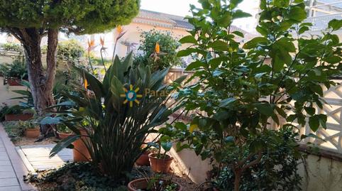 Photo 3 of Planta baja to rent in Oliva Playa, Valencia