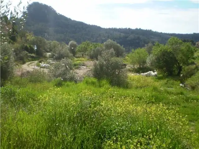 Se vende solar en Galilea con proyecto para vivienda, imatge 3