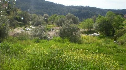 Se vende solar en Galilea con proyecto para vivienda, imatge 3