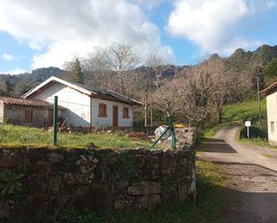 Exterior view of House or chalet for sale in Villaviciosa  with Private garden