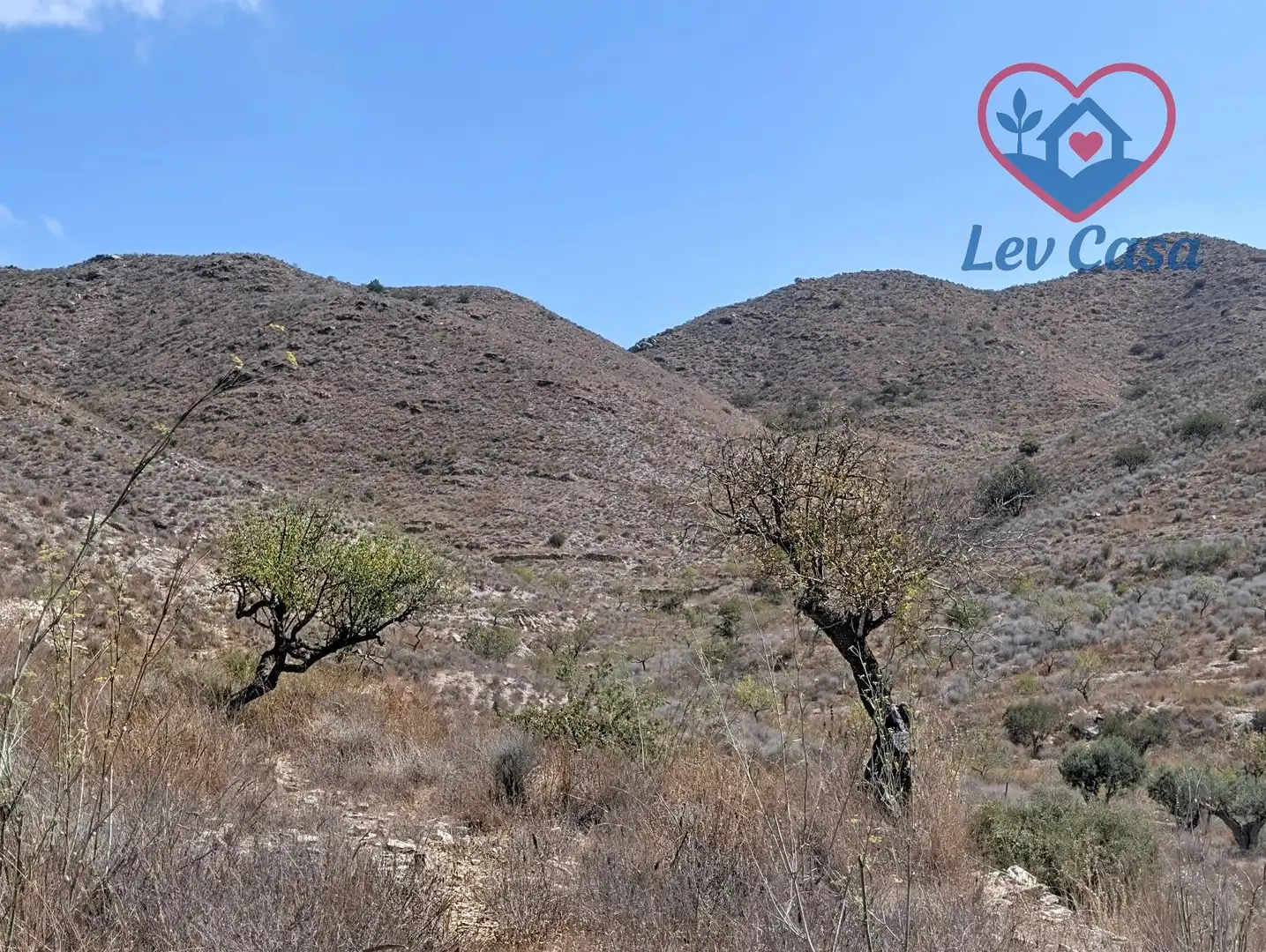 Terreno rustico in vendita a Playa del Galán, imagen 36