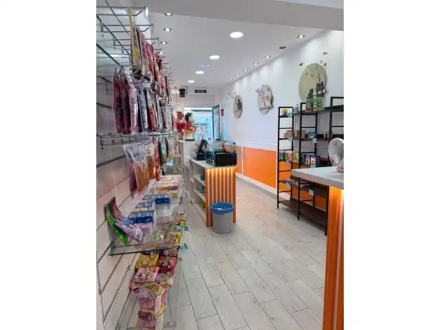 Local comercial en traspàs a Calle Mayor 19, imagen 5