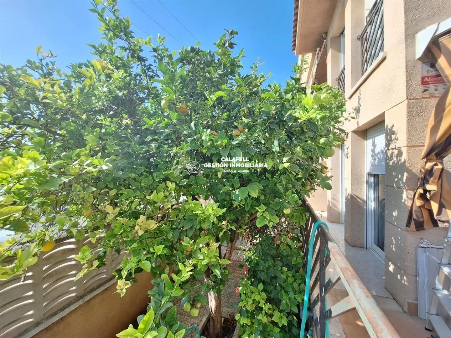 Appartement à vendre à RAVAL DEL TORRENT, imagen 44