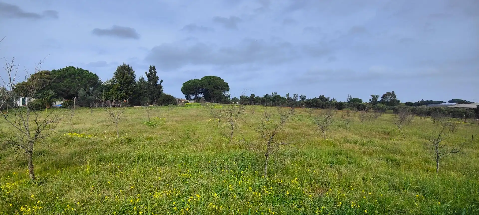 Finca rústica en venda en Gibraleón amb Calefacció, Jardí privat i Terrassa