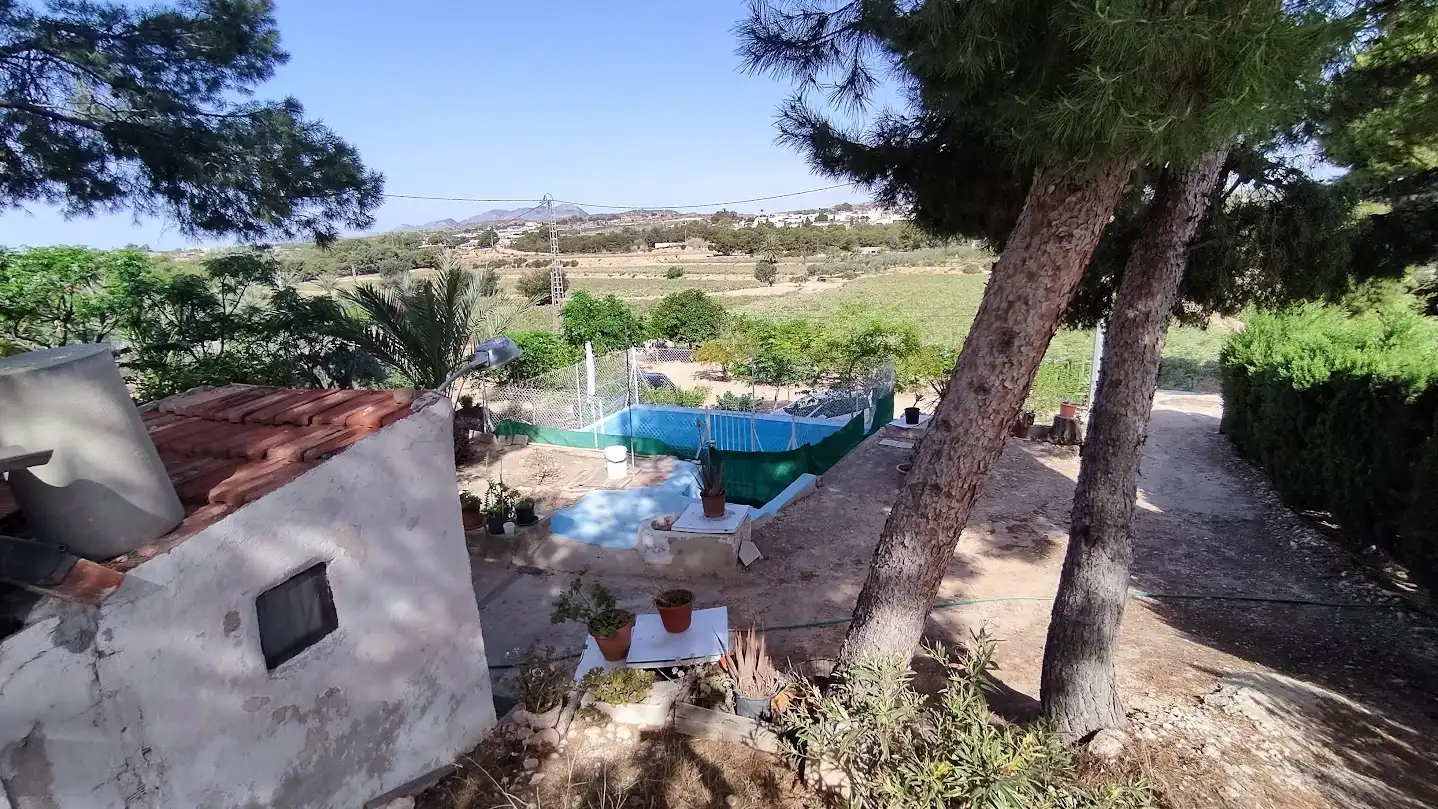 Piscina de Casa o xalet en venda en Elche / Elx amb Piscina
