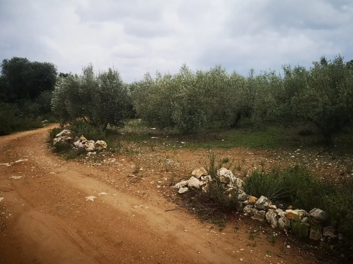 Terreno rustico in vendita a Ulldecona, imagen 5