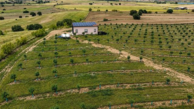 Finca rústica en Venta en Almorox