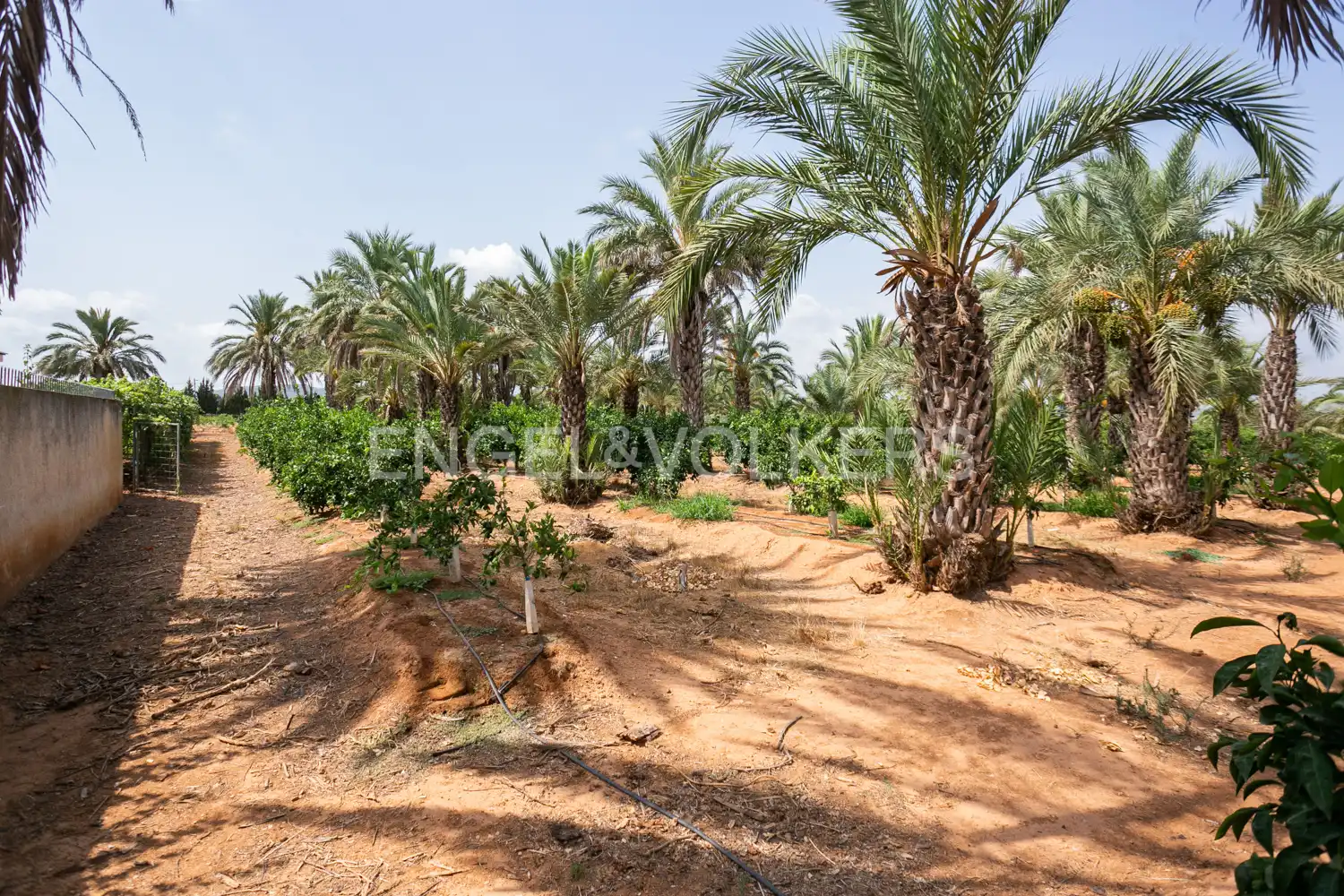 House with terrace for sale in Gallipont, imagen 94