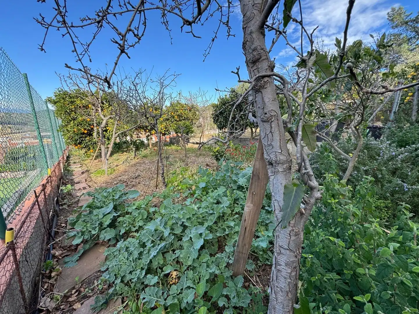 Einfamilien-Reihenhaus zum Verkauf in Blanes