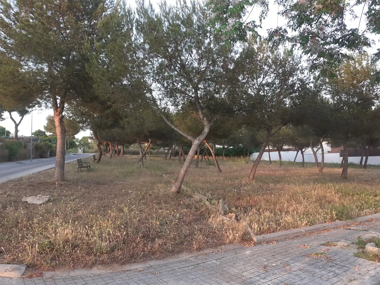 Terreny residencial en venda a Fondo Somella, imagen 5