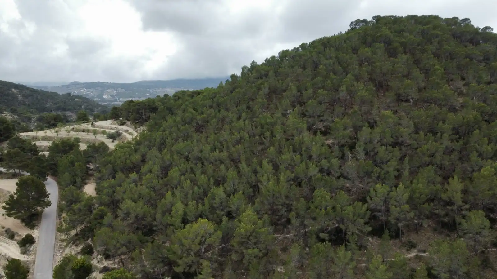 Rural land for sale in Jijona / Xixona, imagen 14