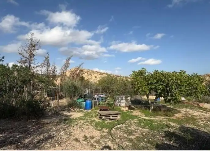 Casa o xalet en venda en Crevillent amb Aire condicionat, Jardí privat i Traster