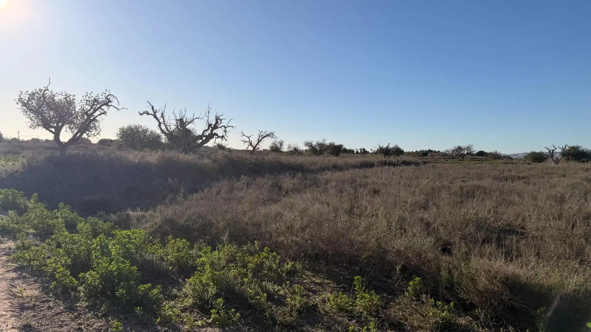 Terreno residencial en venta en La Marina, imagen 19