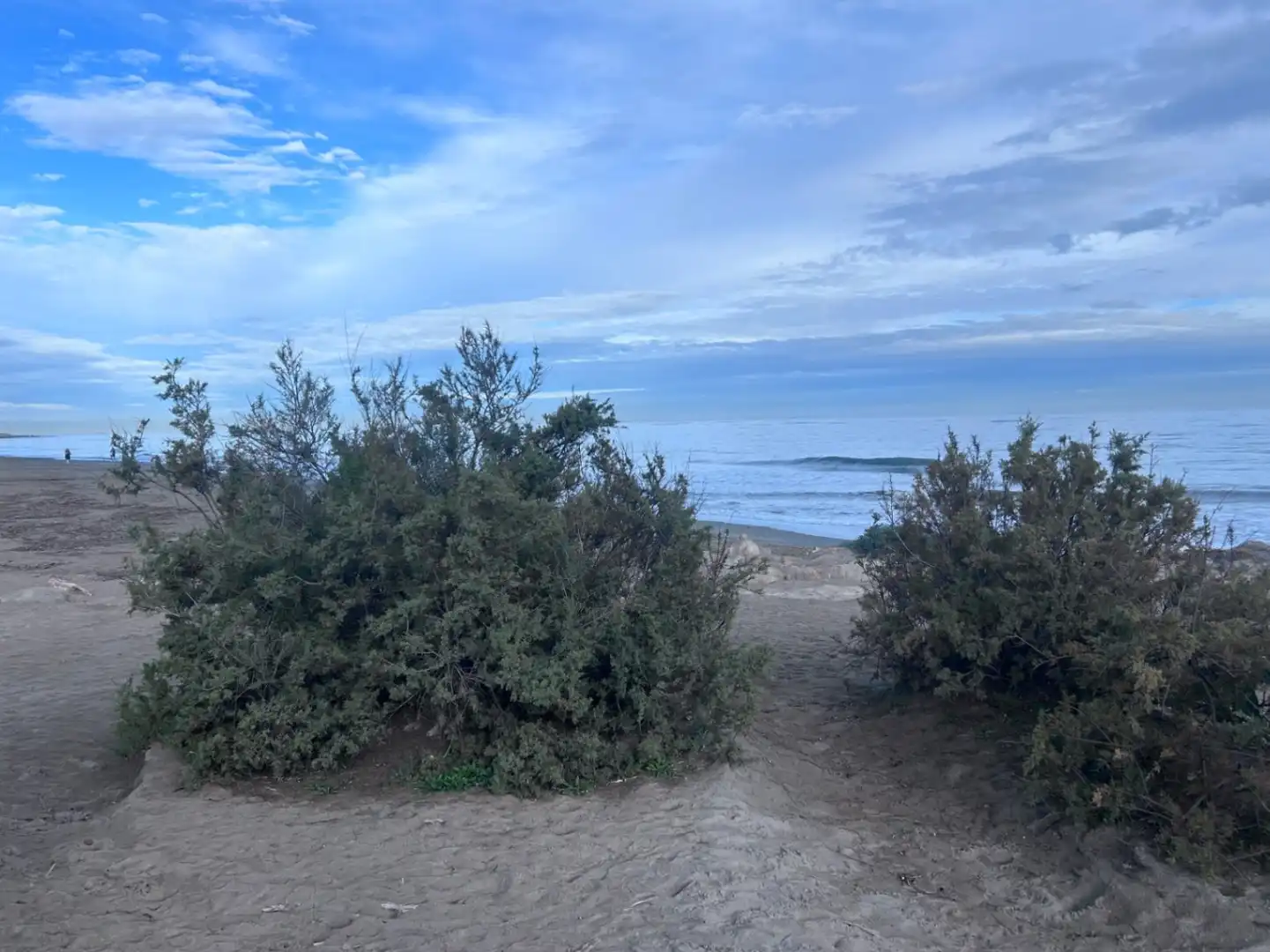 Attique avec ascenseur à vendre à El Puerto, imagen 34