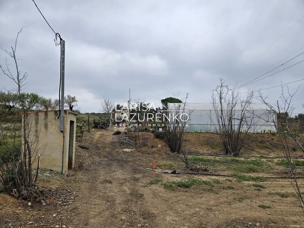 Finca rústica en venda en Riudoms