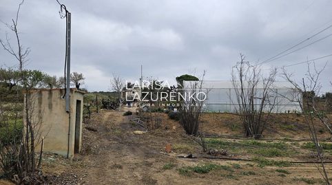 Foto 4 de Finca rústica en venta en N/a, Riudoms, Tarragona