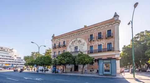 Foto 3 de Casa o xalet de lloguer a Alfalfa - Santa Cruz, Sevilla
