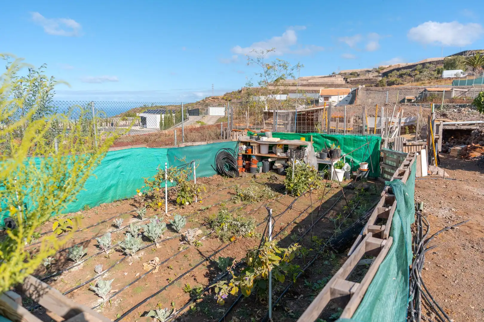 Garden of Country homes for sale in Guía de Isora  with Swimming Pool