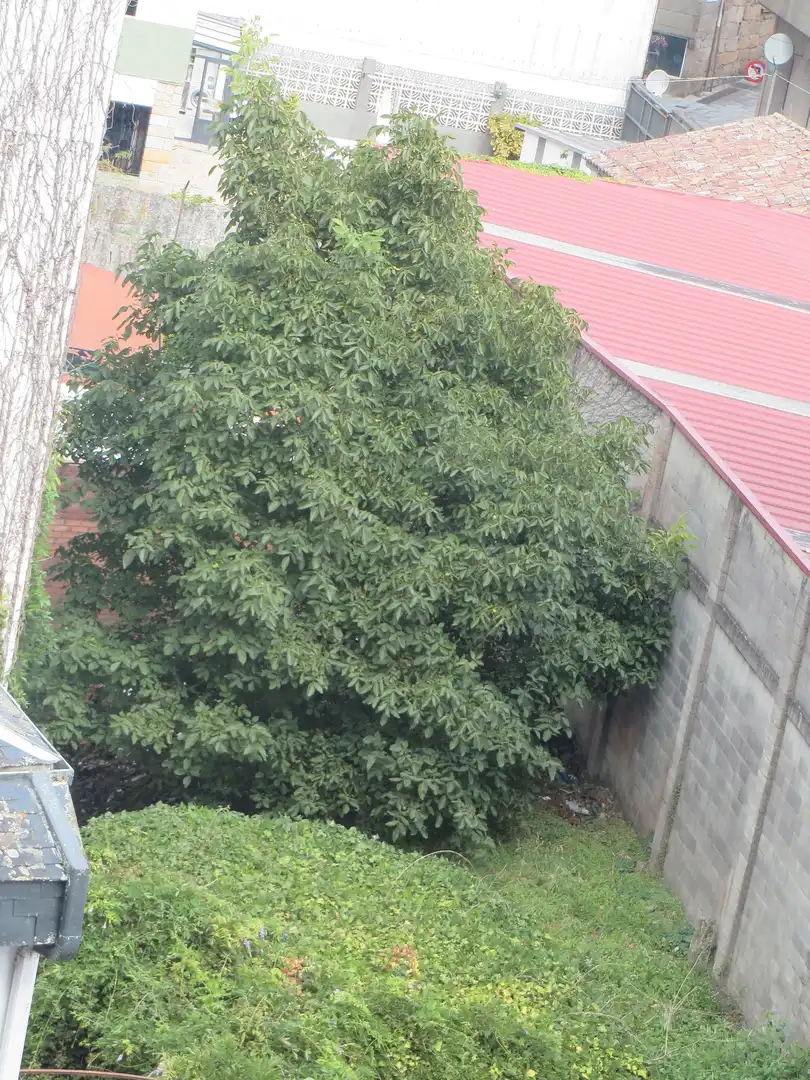Wohnbaugrundstück zum Verkauf in Caldas de Reis, imagen 2