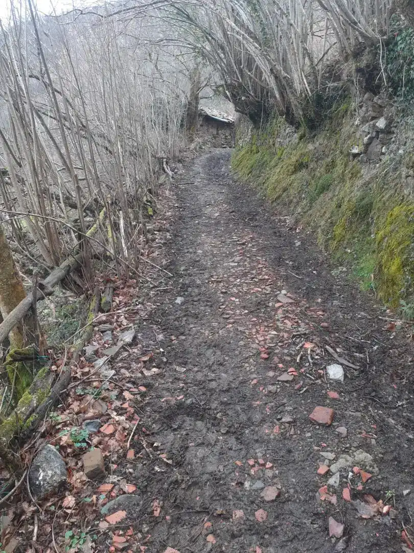 Vista exterior de Finca rústica en venda en Caso