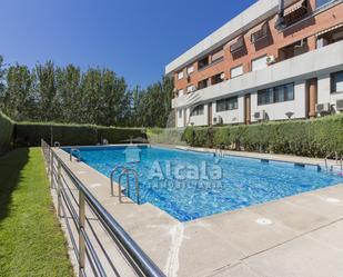 Swimming pool of Flat for sale in Alcalá de Henares  with Terrace and Swimming Pool