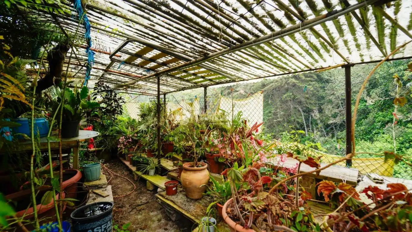 Terraza de Finca rústica en venta en Agulo