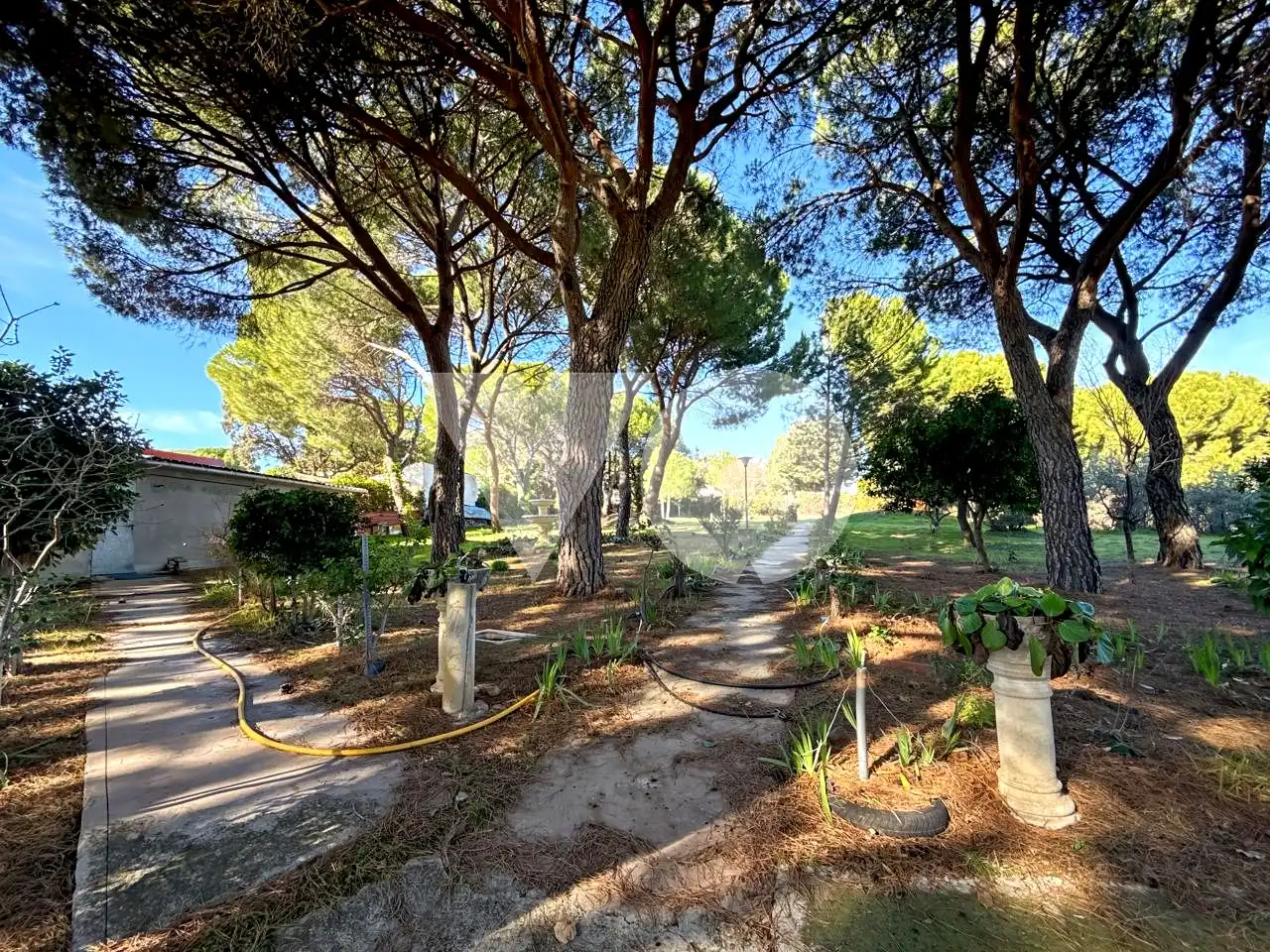 Jardín de Casa o chalet en venta en Ribatejada con Jardín privado, Terraza y Piscina
