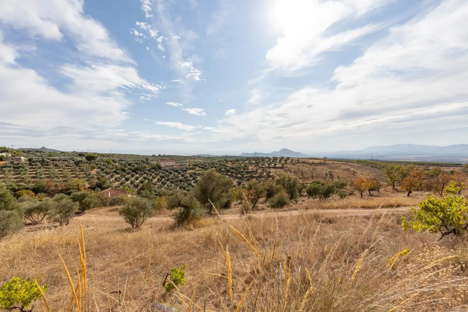 Finca rústica en venta en Cogollos de la Vega con Jardín privado y Piscina