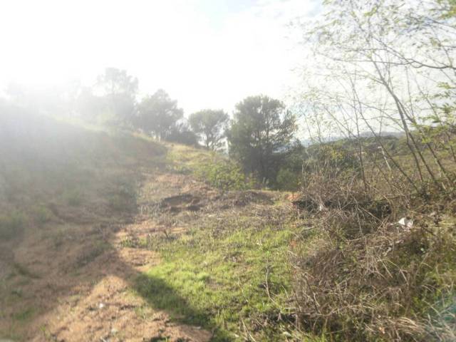 Terreno residencial en Venta en Mas Altaba - El Molí