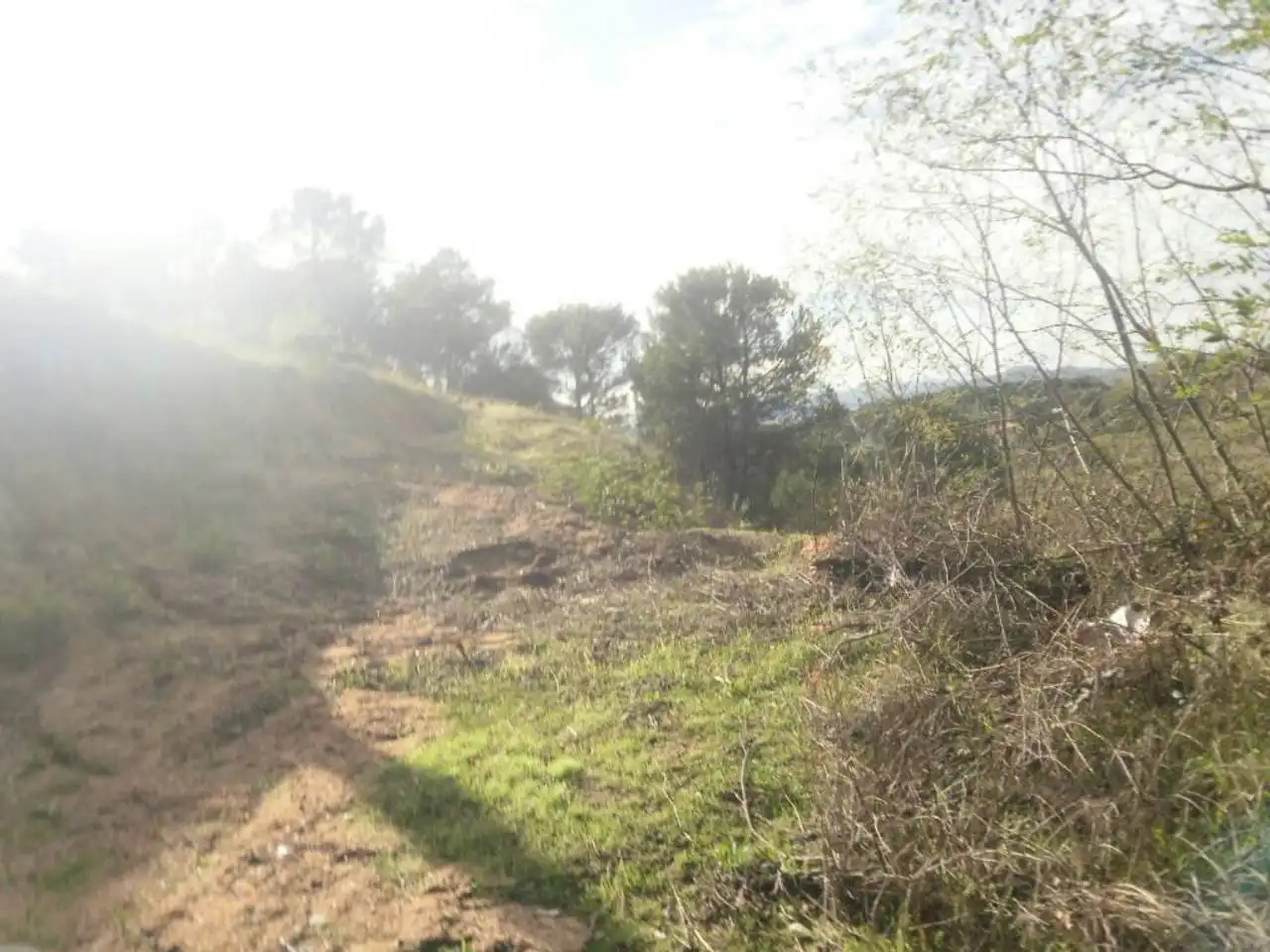 Terreny residencial en venda a Mas Altaba - El Molí