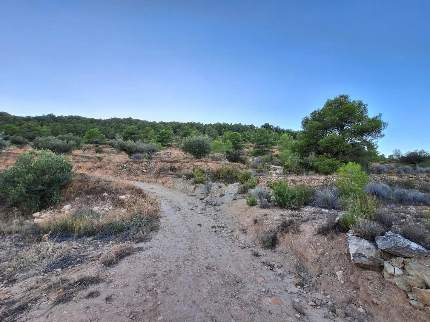 Rural land for sale in Castalla, imagen 13
