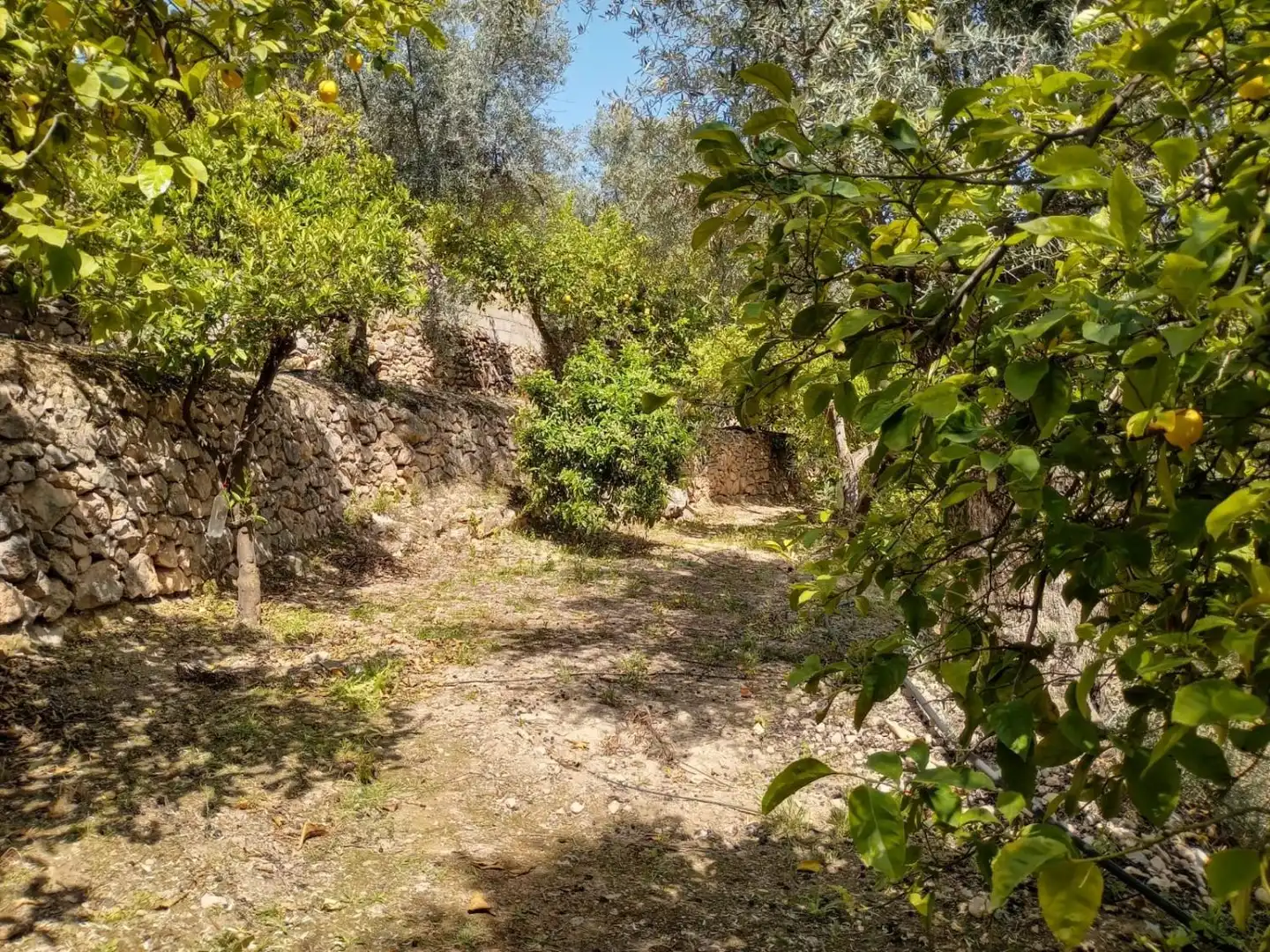 Terreni e lotti in vendita a El Valle, imagen 11