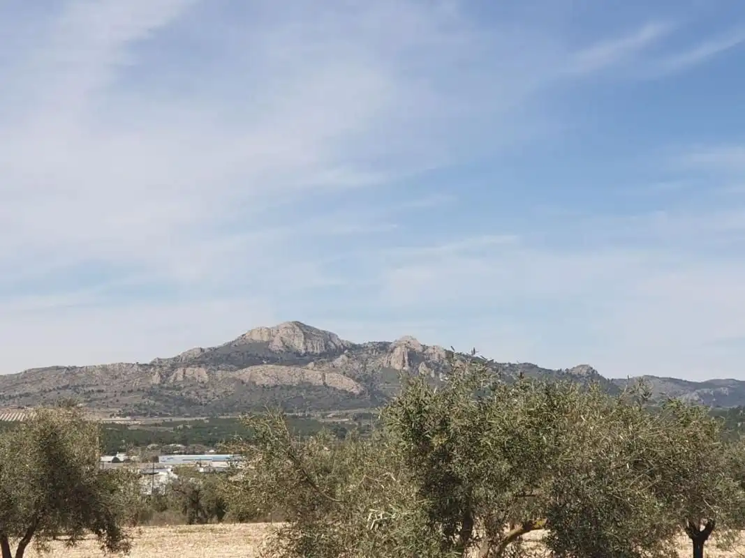 Residential land for sale in Sax, imagen 4
