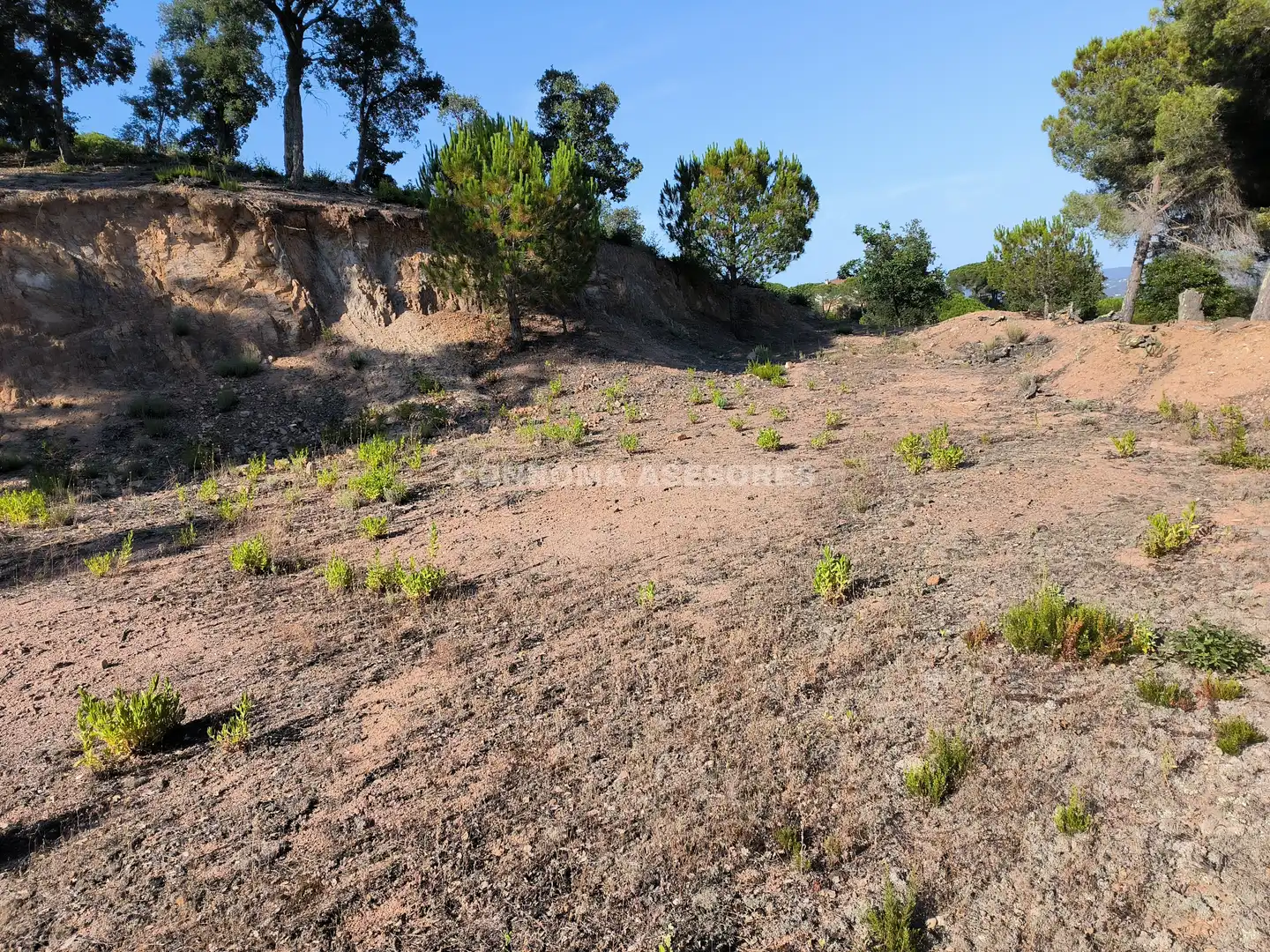 Terreno residencial en venta en Niàgara Parc - Àgora Parc, imagen 8