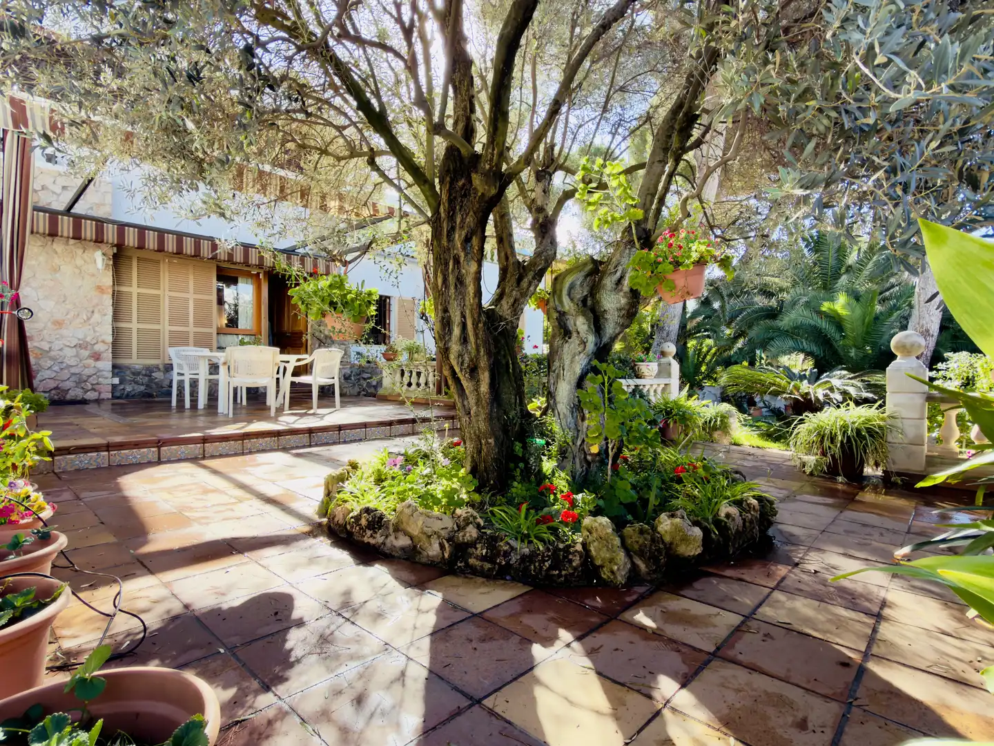 Casa o xalet en venda a Les Maravelles