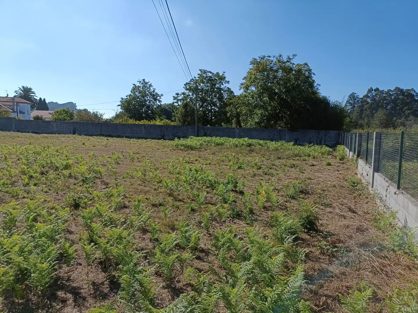 Casa o xalet en venda en Bergondo amb Jardí privat i Traster