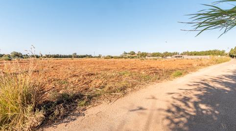 Foto 4 de Residencial en venda a L'Almadrava - L'Estanyó, Dénia