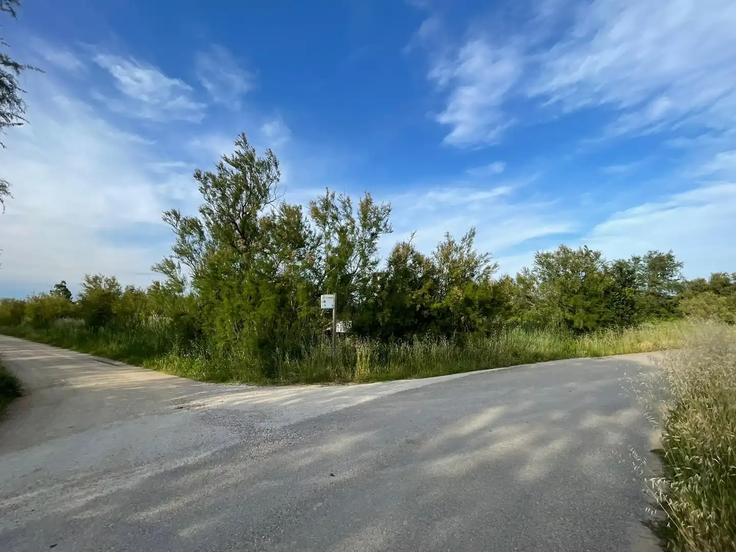Rural land for sale in Sant Pere Pescador, imagen 22